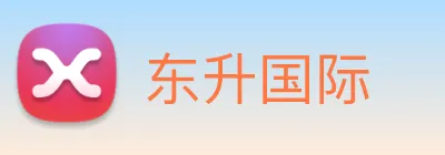 东升国际 logo